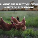 Constructing the Perfect Chicken House: A Guide to Pleased Hens